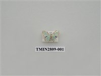 藏品(尺蛾431)的圖片